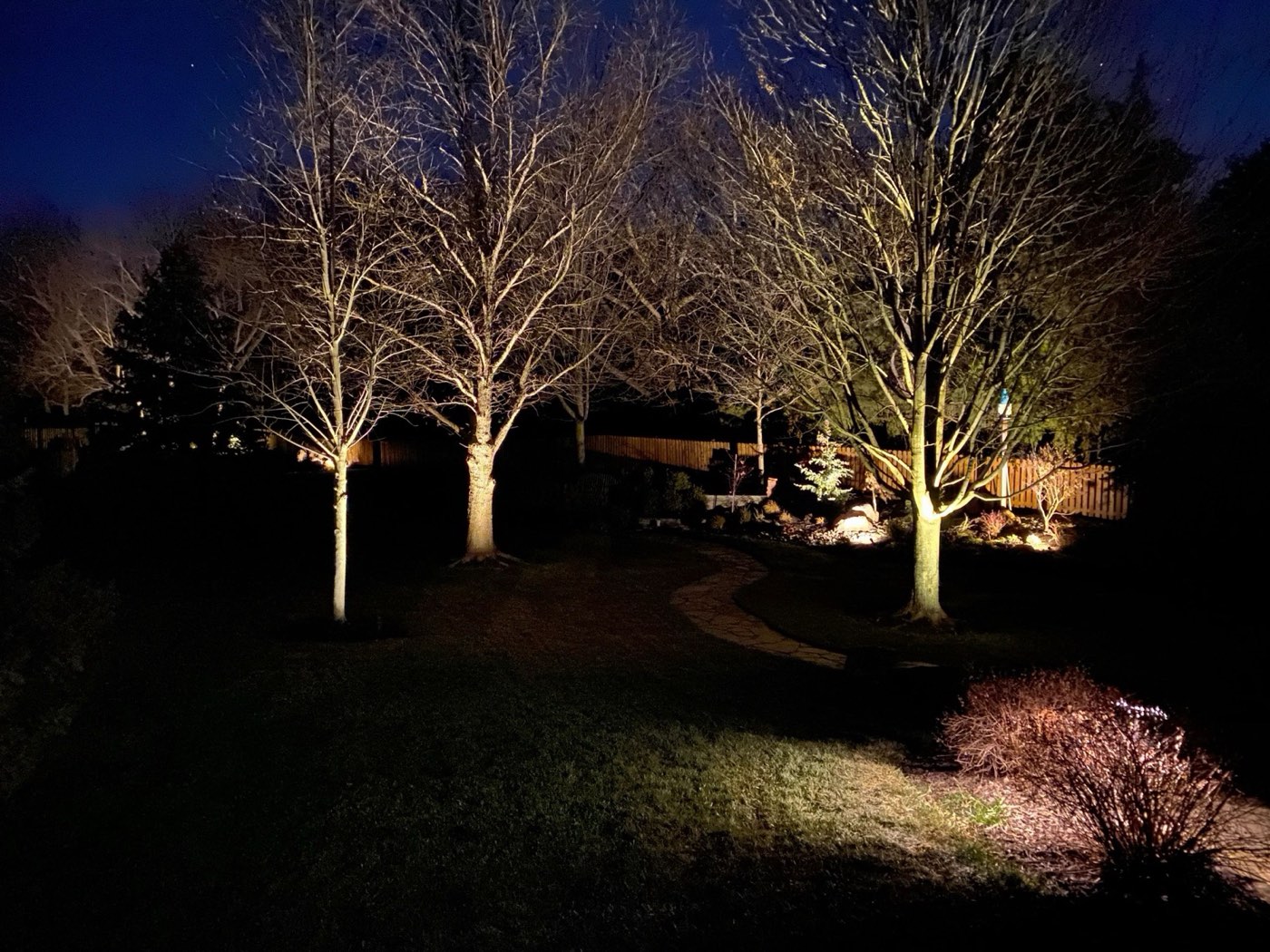 Row of uplit trees across a large lawn at night