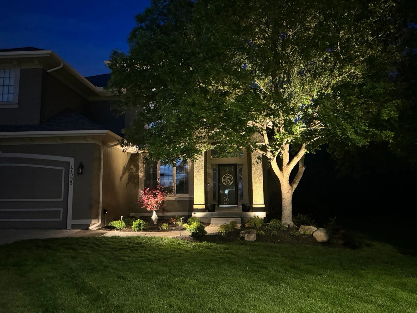 Front of a home and a large tree lit at dusk